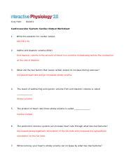 Cardiac Output Worksheet Docx Cory Hunt Cardiovascular System