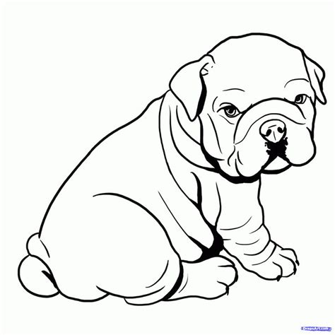 Realistic Puppy Drawing at GetDrawings | Free download