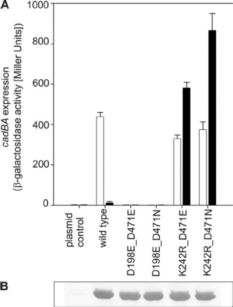 Intramolecular Complementation Of Signaling Off And On State Mutants