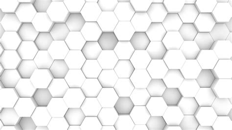 White Hexagon Animation Loop Youtube