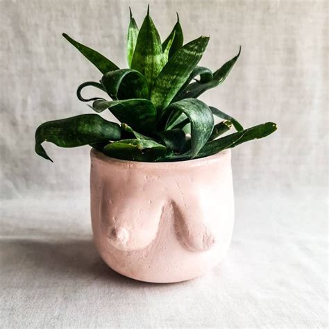 Tittie Pot Woman Body Vase Boob Planter Body Positivity Naked Woman Sexy Nipples Plants Flowers