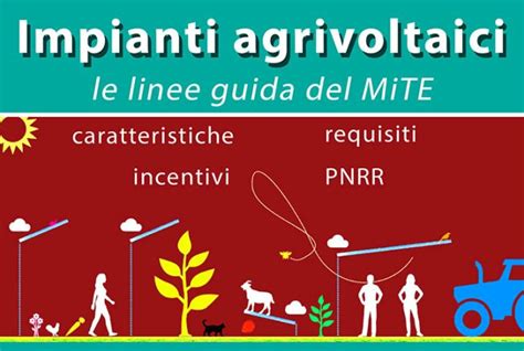 Sistemi Agrivoltaici Requisiti E Incentivi Del PNRR INFOBUILD