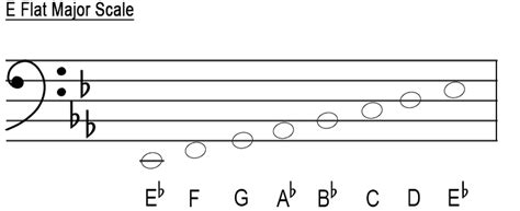 The major scales - Bass clef - Music