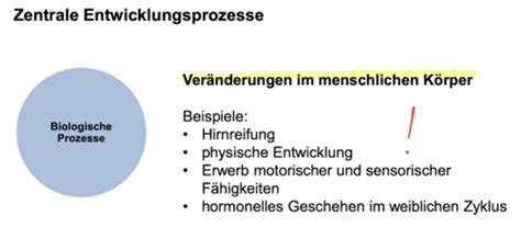 VL I Entwicklungspsychologie Karteikarten Quizlet