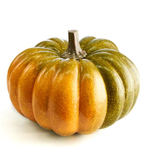 Faux Orange and Green Cinderella Pumpkin - Fall and Halloween ...