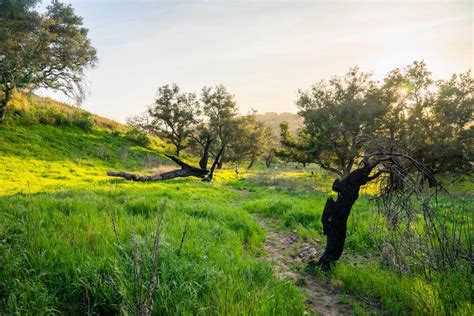 Harmon Canyon In Ventura Ca