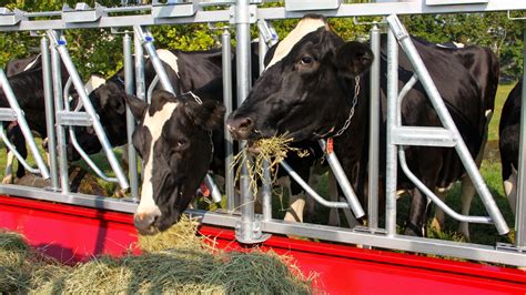 No Waste Hay Feeders For Cattle Farmco