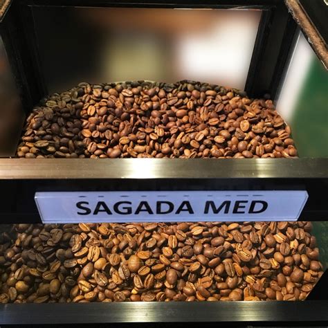 Sagada Medium Roast – PicaBean Coffee House