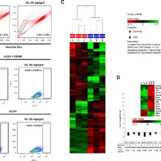 ISL Inhibited Breast Cancer Growth And Lung Metastasis In MMTV PyMT