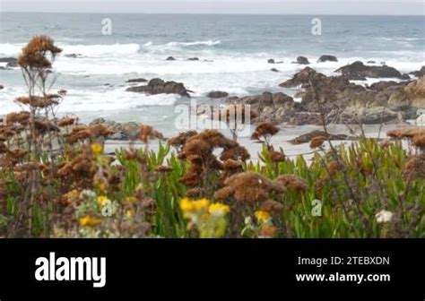 Mile Drive Monterey California Usa Rocky Craggy Ocean Sea Water