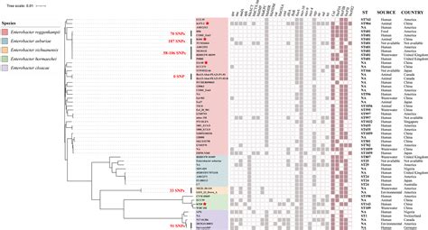 Emergence And Transmission Of Plasmid Mediated Mobile Colistin