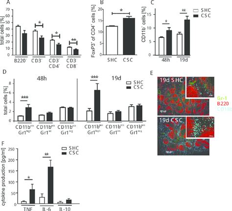 Effect Of CSC On Spleen Cells Splenocytes From CSC Black Bars And