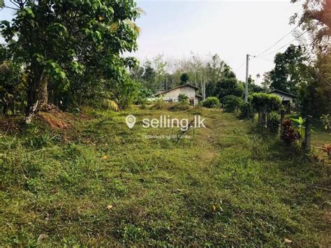 Land For Sale In Horana Land For Sale Horana Kalutara