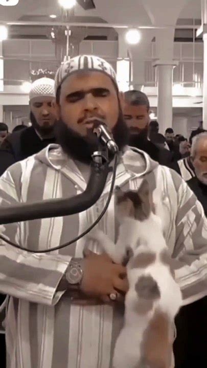 Cat Playing With Imam During Reciting Quran Taraweeh Imam And A Cat Video Dailymotion