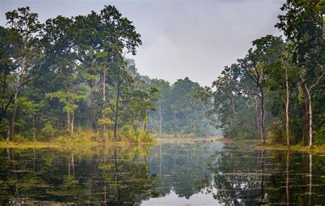 Kathmandu Tour Di 2 Giorni Del Safari Nella Giungla Del Parco