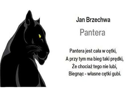 Pantera Jan Brzechwa Wiersze Czytane Dla Dzieci Audiobook Bajki