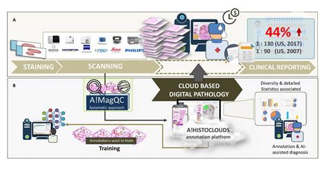 Supporting Deep Learningassisted Pathology Diagnoses Matlab Simulink