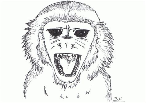 Crazy Monkey By Cow89 On Deviantart