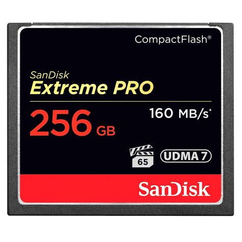 Sandisk Extreme Pro 256GB 검정구매, Techinn에서 주문