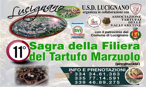 Sagra Della Filiera Del Tartufo Marzuolo A Lucignano Date Orari