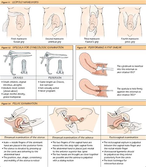 Pdf Obstetrics And Gynecology At A Glance By Errol R Norwitz Th