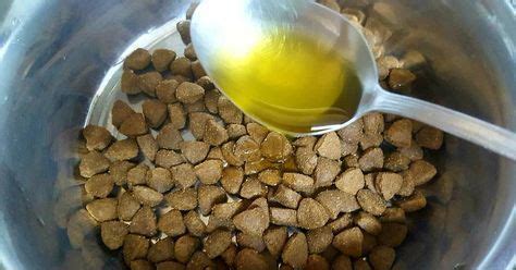 Trucos Con Aceite De Oliva Para Perros Mascotas