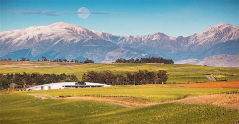 Marlborough Wine Region Guide And Guide To Marlborough Terroir And Wine