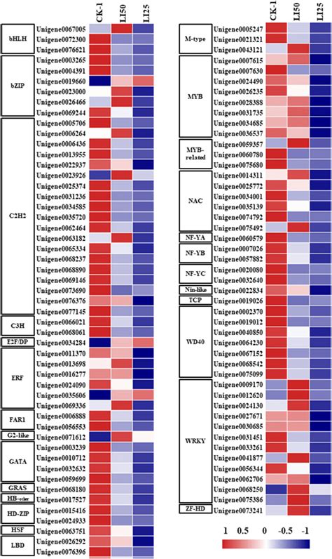 Heat Map Showing The Expression Profiling Of Degs Annotated As Download Scientific Diagram