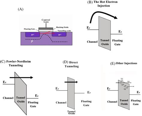 Three Charge Injection Mechanism In The Floating Gate Memory The