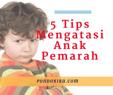 5 Tips Mengatasi Anak Pemarah