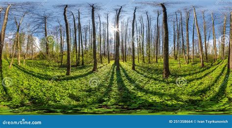 Full Seamless Spherical 360 Hdri Panorama View In Beautiful Spring