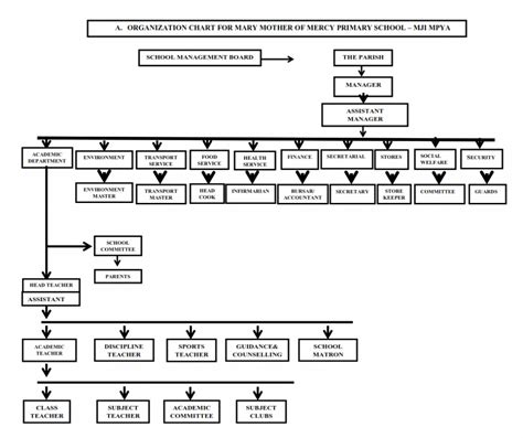 Primary School Organization Chart