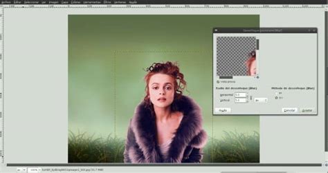 C Mo Recortar Una Parte De Una Imagen Y Ponerle Fondo Usando Gimp