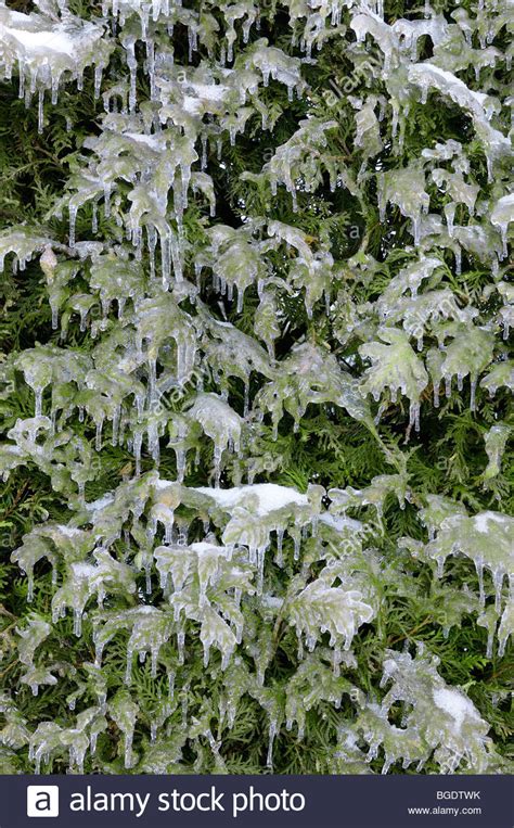 Rain With Ice Hi Res Stock Photography And Images Alamy