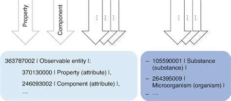 Npu Loinc And Snomed Ct A Comparison Of Terminologies For Laboratory