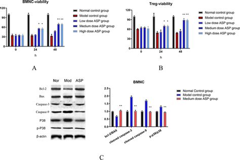 Effects Of ASP On BMNCs And Treg Cells In Vitro A BMNC Cell Viability