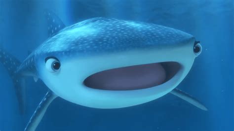 10 Huge Facts About Whale Sharks | Mental Floss