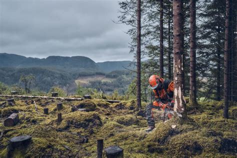 Husqvarna Xp Mark Iii Kettens Ge Timbershop