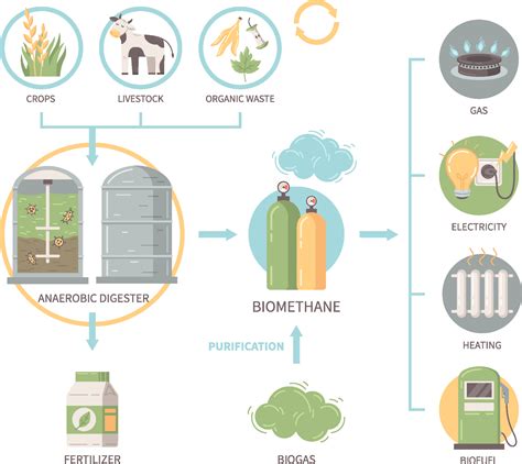 Anaerobic Digestion