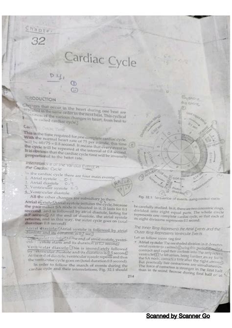 SOLUTION Cardiac Cycle Studypool