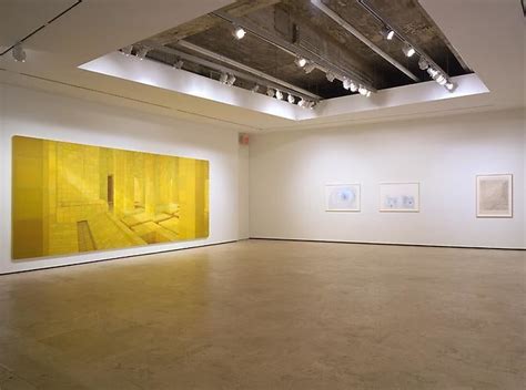 Adriana Varejão Two Paintings and Ten Drawings Exhibitions