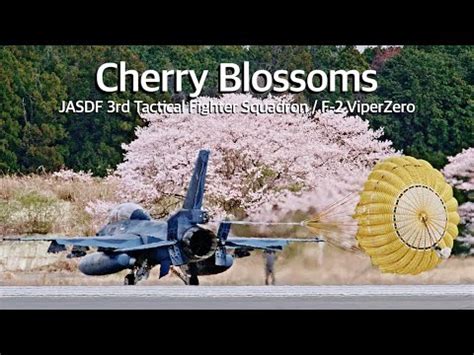 F Cherry Blossoms In Full Bloom Jasdf