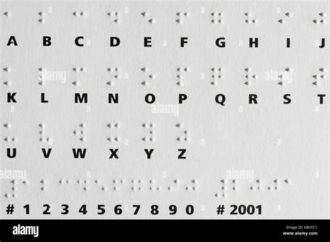 Braille System