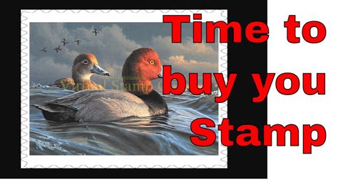 How To Buy Federal Duck Stamp Cheap Sale Centralcountiesservices Org