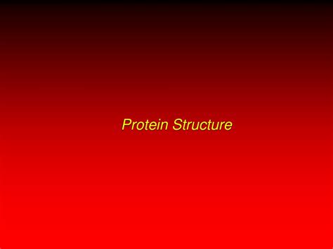 Ppt Protein Structure Powerpoint Presentation Free Download Id9665990