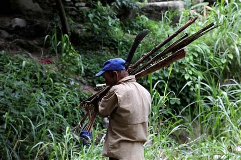 Una Facción De Las Farc Retoma La Lucha Armada Lo Anunciaron Iván Márquez El Paisa Y