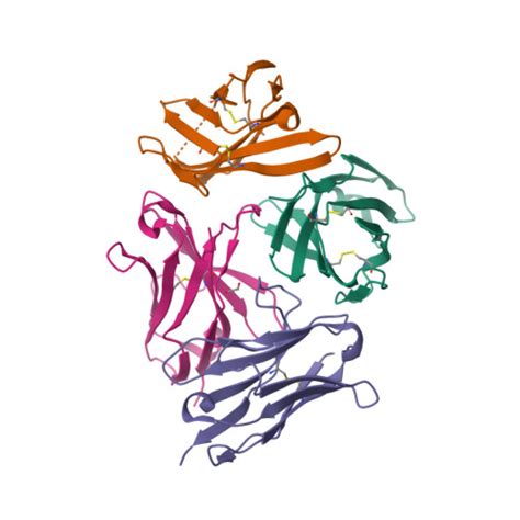 Rcsb Pdb Dv Crystal Structure Of Anti Ctla Vh Domain In Complex