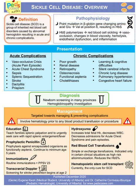 Click Here For The Full Screen Pdf Handout