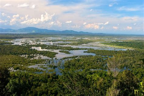 Intip Keanekaragaman Hayati Danau Sentarum Surga Para Peneliti Dari