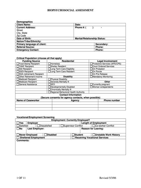 Biopsychosocial Assessment Fill Online Printable Fillable Blank